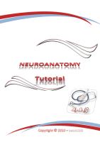 neuro-anatomy_toutrial.pdf