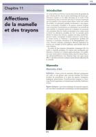 11- affections de la mammelles et des trayons.pdf