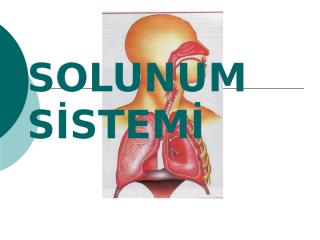 Solunum Sistemi (1).ppt