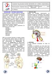 sistema endocriono resumo.pdf