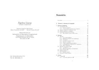 alglin_2006.pdf